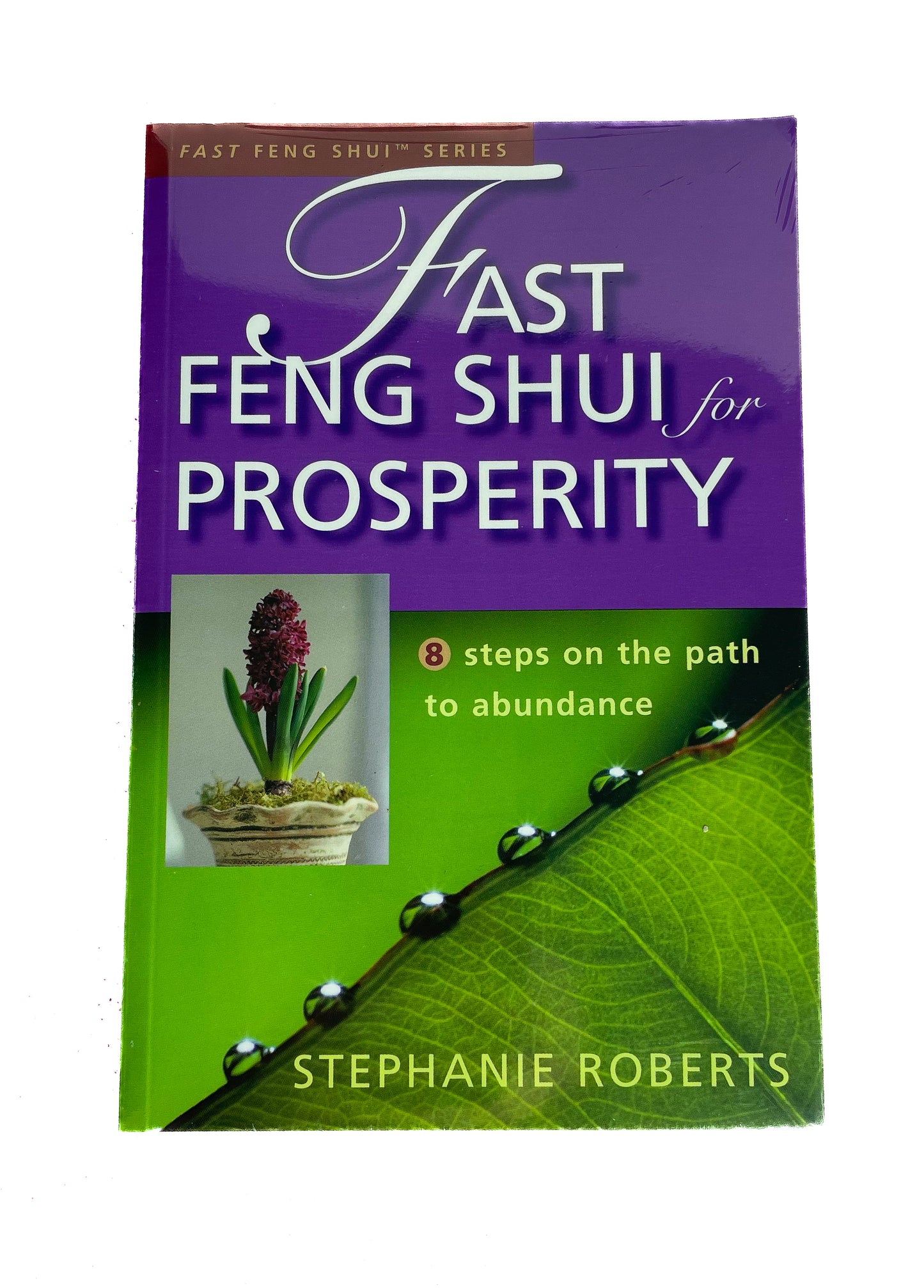 Feng Shui 2 Pack Books